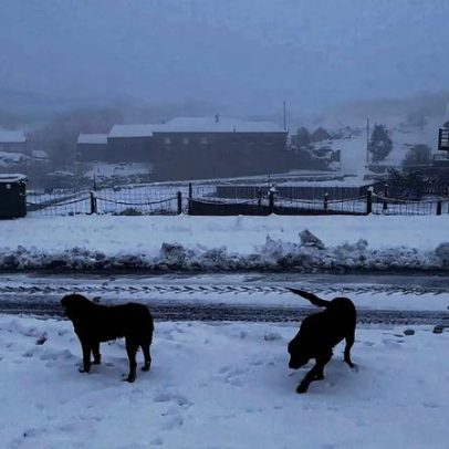 Casal com duas crianças retido na neve em Castro Laboreiro