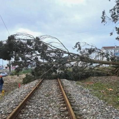 Linhas ferroviárias do Norte, Douro, Beira Baixa e Oeste ainda com interrupções