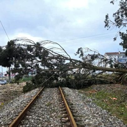 Linhas do Norte, Beira Baixa e Oeste suspensas por mau tempo