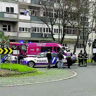 Camionista mata idoso na passadeira e diz não ter visto