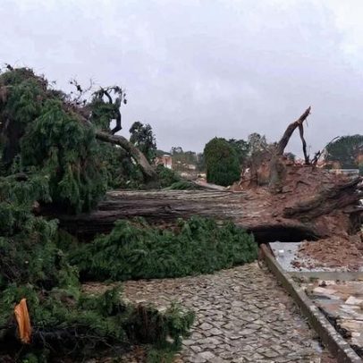 Coimbra: cerca de 10 mil casas sem luz e centenas de ocorrências