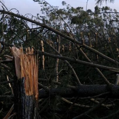 Marinha Grande procura voluntários para limpeza após mau tempo