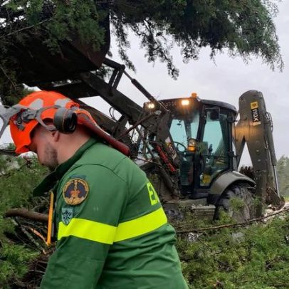 Exército instala lonas em edifícios degradados de Figueiró dos Vinhos