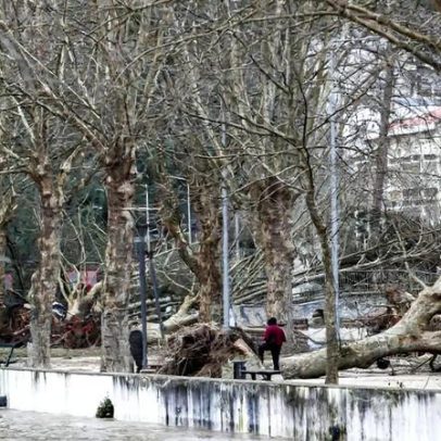 Câmara de Leiria instala geradores e distribui água com cisternas