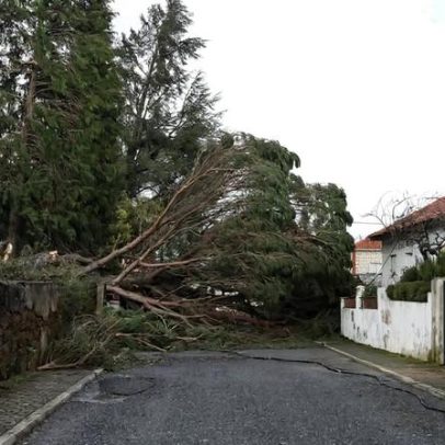 Câmara de Vila de Rei alerta burlões a oferecer serviços falsos
