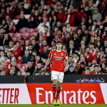 Benfica esclarece lesão de António Silva