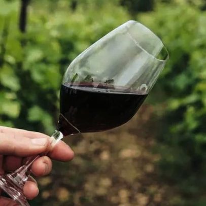 Esquema de pirâmide com vinhos de luxo envolveu 500 portugueses