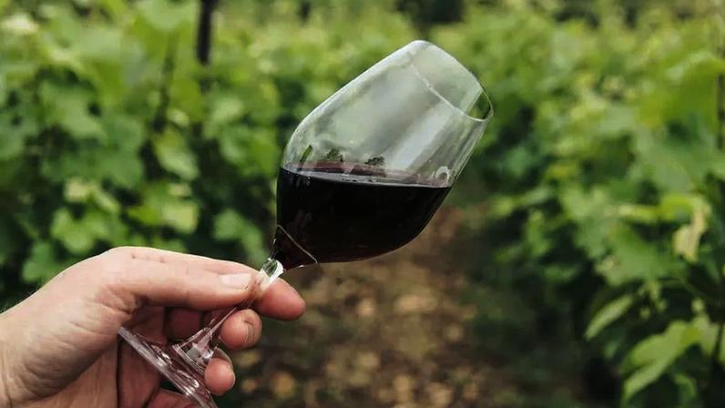 Autoridades britânicas investigam alegada fraude com vinho