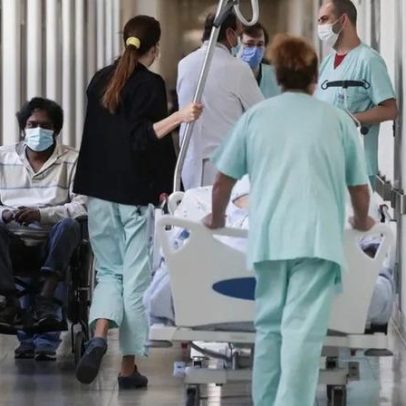 Estudo identifica primeiros casos de Candida auris em Portugal