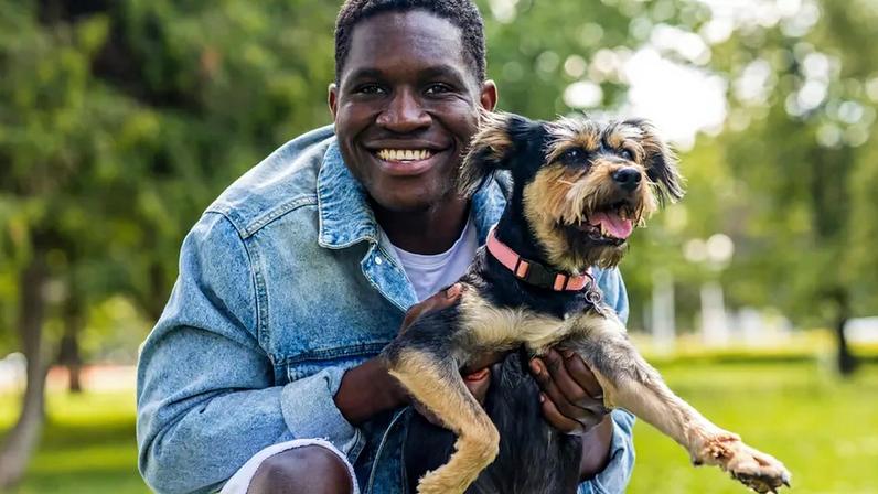 Conheça o Pawseum, o ‘idealista dos animais’ que quer facilitar a adoção em Portugal