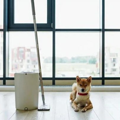 Como manter casa limpa e cheirosa sem comprometer a saúde do seu pet