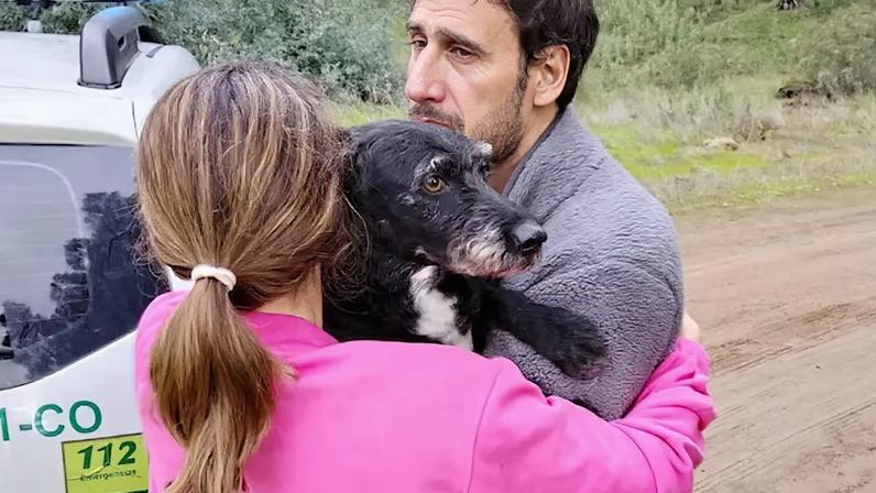 Final feliz em Adamuz: cão desaparecido após colisão de comboios é encontrado com vida