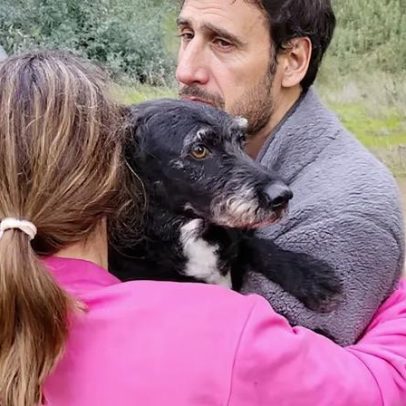 Cão desaparecido após colisão de comboios encontrado com vida em Adamuz
