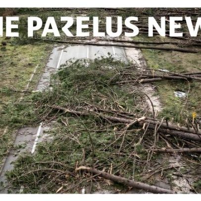 Mau tempo: associações pedem soluções baseadas na natureza