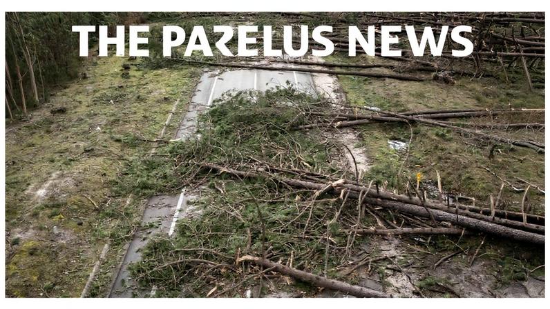 As depressões como a Kristin "evidenciam um aumento de fenómenos meteorológicos extremos associados às alterações climáticas e amplificados por práticas humanas que degradam os sistemas naturais"