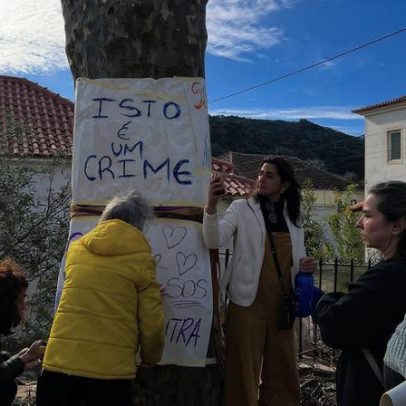 Associação contesta abates no Parque Natural Sintra-Cascais