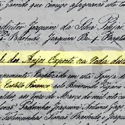 A genealogia de Seguro surpreende pela complexidade histórica