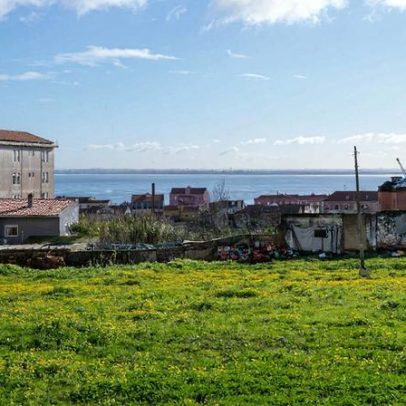 Moradores e Junta denunciam matadouro ilegal em Lisboa