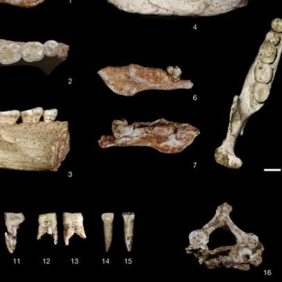 Fósseis de 773 mil anos reforçam origem humana em África