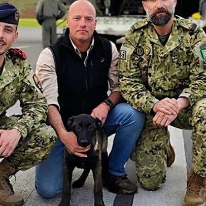 Núcleo de Cinotécnia da Marinha recebe nova recruta canina no Funchal