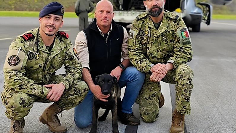 Núcleo de Cinotécnia da Marinha recebe nova recruta de quatro patas no Funchal
