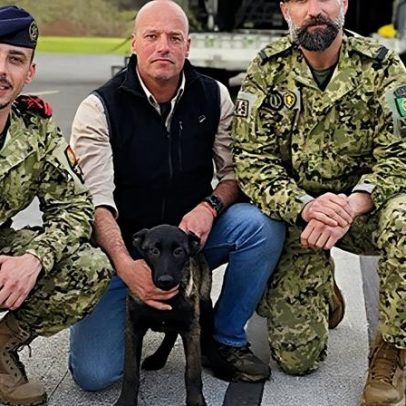 Núcleo de Cinotécnia da Marinha recebe nova recruta canina no Funchal