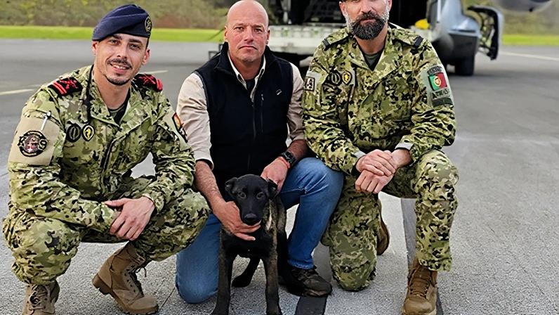 Núcleo de Cinotécnia da Marinha recebe nova recruta de quatro patas no Funchal