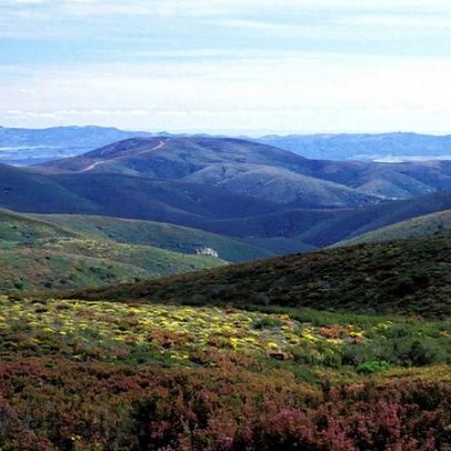 Serra da Malcata passa a Zona Especial de Conservação