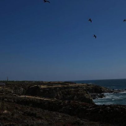 Aeronave realiza aterragem de emergência em Ponte de Sor