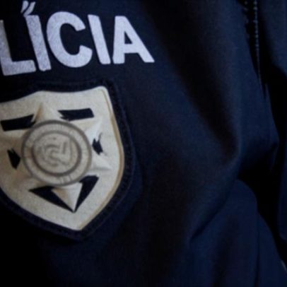 PSP apreende 19 mil armas desde 2020 e regista subida no último ano