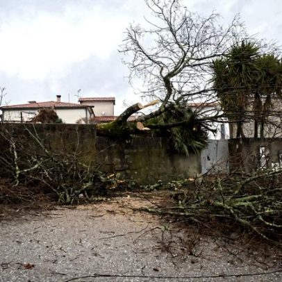 DGS alerta para cuidados com água e alimentos