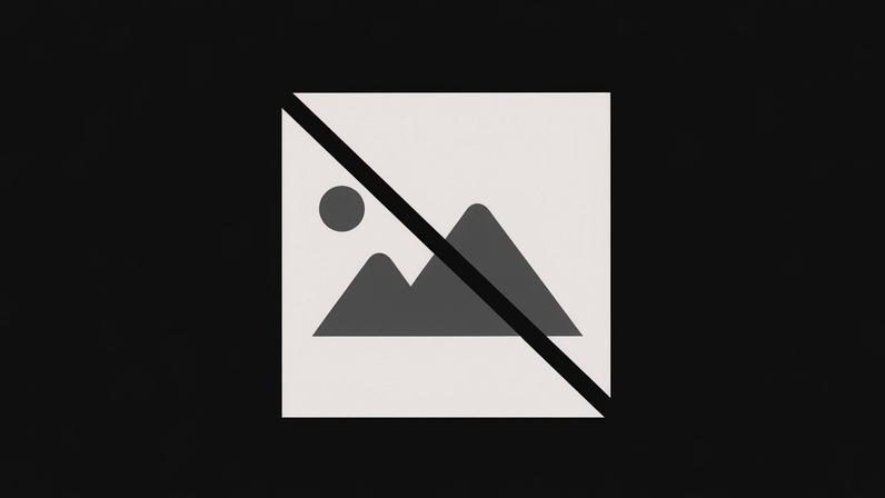 CIM do Ave é a Comunidade Intermunicipal com maior taxa de execução no NORTE 2030