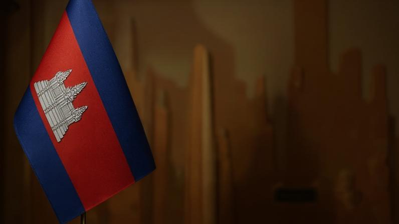 PCP e Chega querem ouvir ministra da Saúde no parlamento, BE pede demissão