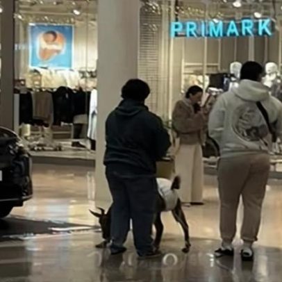 Cabra com fralda passeia num centro comercial em Sevilha