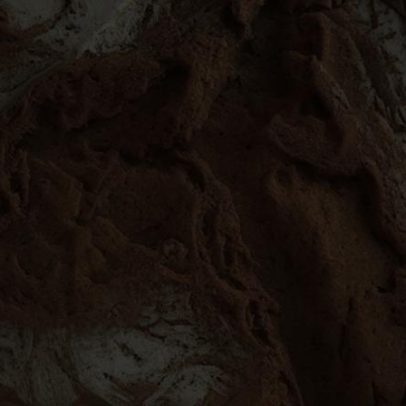 Sara Santos troca jornalismo regional pela TVI e entra em Primeira Companhia