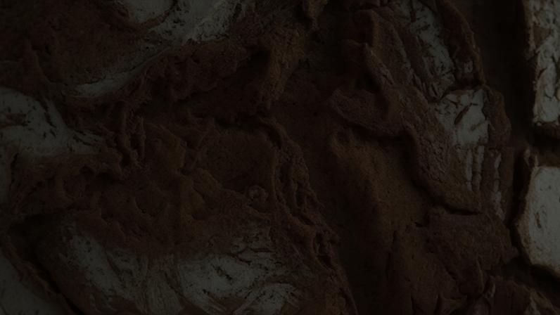 Sara Santos troca jornalismo regional pela TVI e entra em Primeira Companhia