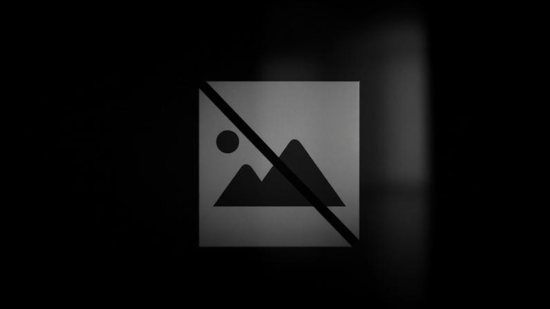 Provedoria dos Animais de Lisboa alerta para ausência de Autoridade Sanitária Veterinária