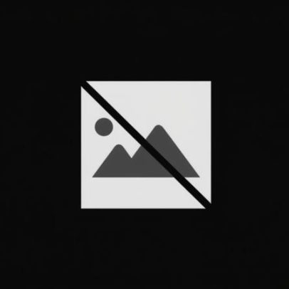 PS apela união de todos os partidos contra novas regras do subsídio de mobilidade