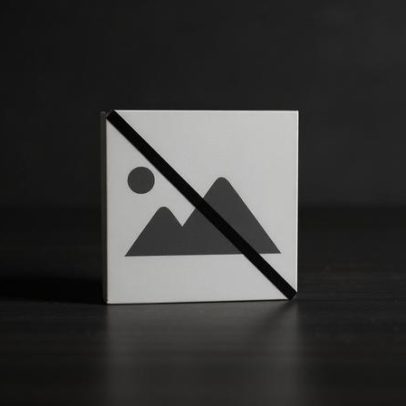 Executivo francês agita debate sobre eleições antecipadas