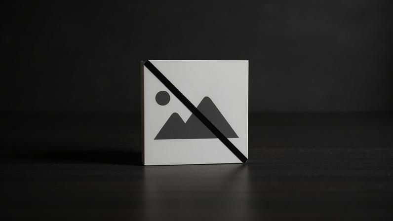 Executivo francês agita espetro de eleições antecipadas: "Postura cínica"