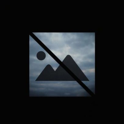 Rangel diz que votar em Seguro e Gouveia e Melo é votar em branco