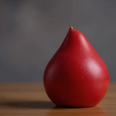 Recolha de sangue em São Vicente da Beira atrai voluntários