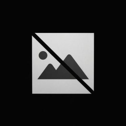 CHEGA avança na apreciação parlamentar do novo modelo de subsídio de mobilidade