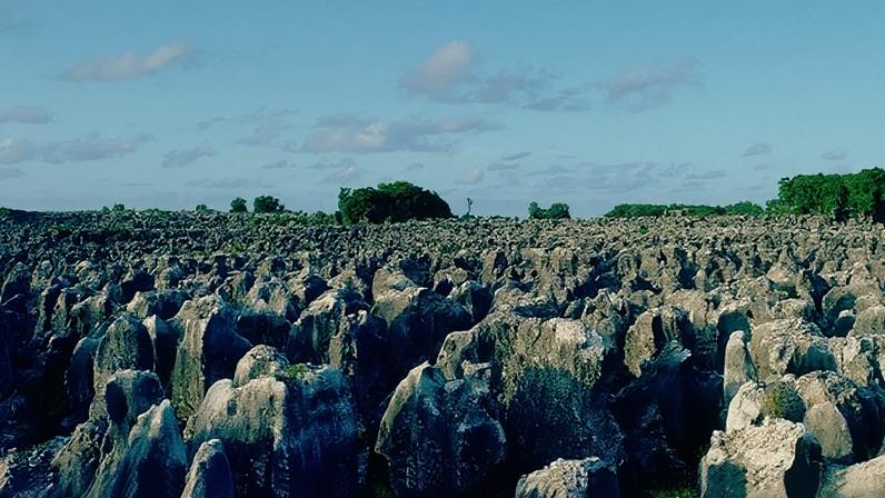 Nauru: de paraíso do Pacífico a ilha árida e prisão a céu aberto