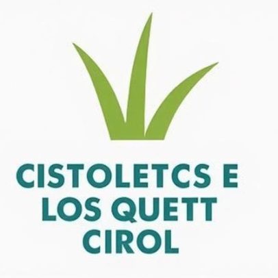 PJ investiga alegação de violação de jovem de 17 anos em escola de Guimarães