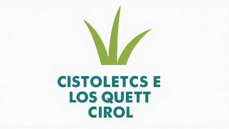 PJ investiga alegada violação de jovem de 17 anos em escola de Guimarães