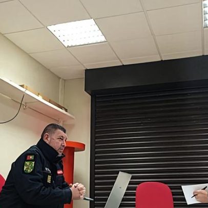 Mealhada combate vespa asiática: 290 ninhos eliminados em 2025