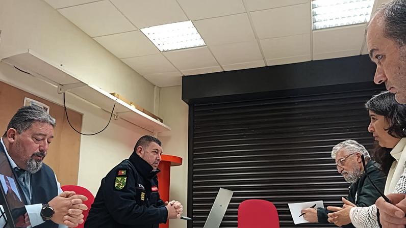 Mealhada elimina 290 ninhos de vespa asiática em 2025