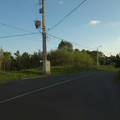 Bombeiros removem árvore caída na Estrada do Serralhal