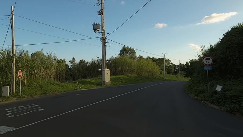 Bombeiros removem árvore caída na Estrada do Serralhal